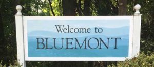 welcome to the village